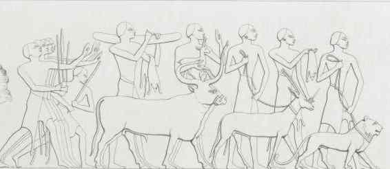 parade of animals.